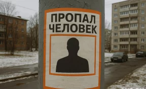 Координатор «Лиза Алерт» рассказал, как обезопасить ребёнка от пропажи