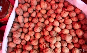 Жительница Кузбасса купила грецкие орехи с белыми червями внутри