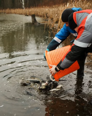 УК «Кузбассразрезуголь» провела зарыбление верховьев Томи для очистки рек