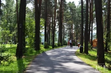 Фото: Молодожёны из Тольятти посетили Кузбасс по выигранной путёвке 1
