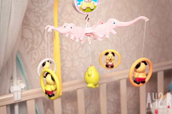 В России хотят изменить модель маткапитала