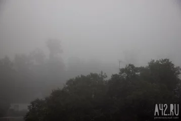 Фото: В понедельник в Кузбассе ожидаются грозы и туман 1