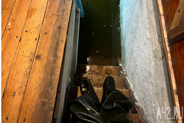 В Белове карпов из затопленного подвала выпустили на свободу