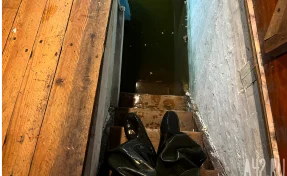 В Белове карпов из затопленного подвала выпустили на свободу