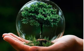 Шахтёрские территории получат грантовую поддержку экологических инициатив благодаря Фонду Мельниченко