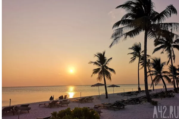 Мужчина умер после нападения мошек в Таиланде