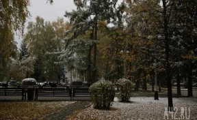 В Кемерове пошёл первый снег