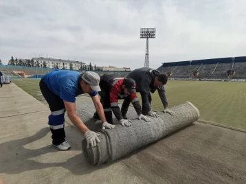 Фото: Мэр Кемерова объявил о старте работ по замене поля на стадионе «Химик» 1