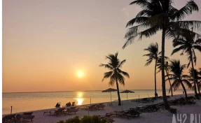 Мужчина умер после нападения мошек в Таиланде