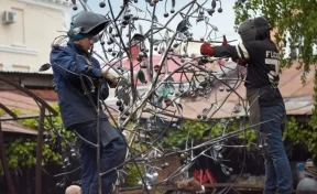 Кузбассовцы просят установить кованое вишнёвое дерево из Ульяновска в Кемерове