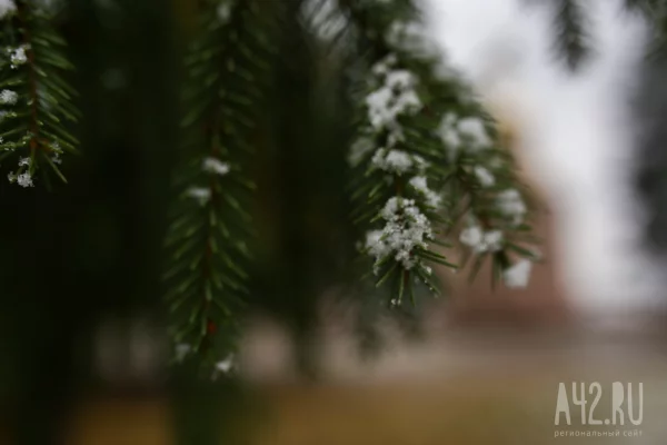 Собор Иоанна Крестителя или Иван Бражник: народные приметы на 20 января