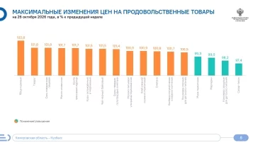 Инфографика: Кемеровостат