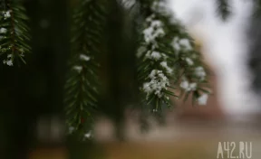 Собор Иоанна Крестителя или Иван Бражник: народные приметы на 20 января