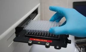 В России создан первый в мире быстрый тест для диагностики опасного заболевания печени