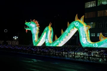 Фото: В Кемерове появился 50-метровый дракон 1