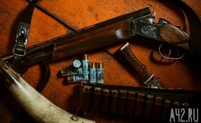 В Кузбассе браконьеры застрелили лосиху: возбуждено уголовное дело
