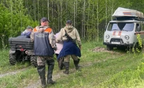 Жительница Кузбасса потерялась в лесу, собирая черемшу