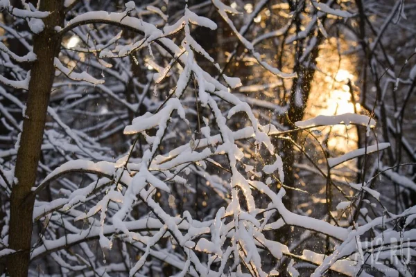 В Московском планетарии назвали самый короткий день уходящего года