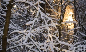 В Московском планетарии назвали самый короткий день уходящего года