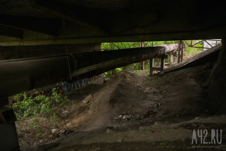 Фото: Звери, бездомные, водопады мусора и озёра нечистот: экспедиция по джунглям Искитимки 55