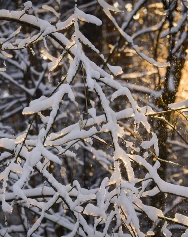 В Московском планетарии назвали самый короткий день уходящего года