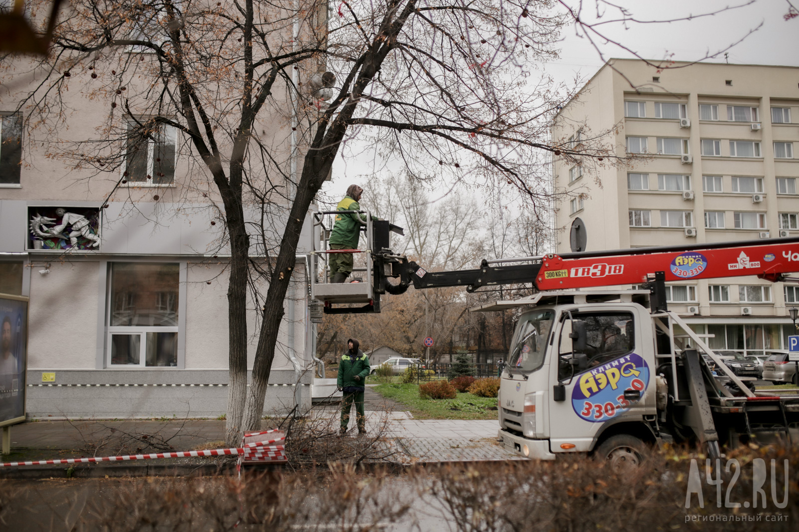 Уродливые, но безопасные: зачем в Кемерове каждый год пилят деревья