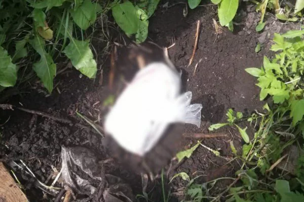 В Кузбассе вынесли приговор группе наркоторговцев, называвших наркотики «гусями»