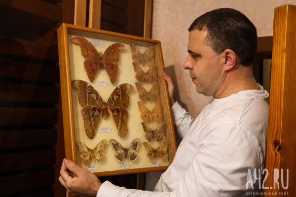 Полгода жил батраком в Таиланде, ловил бабочек в Перу, спасался от гигантских пиявок во Вьетнаме: как кемеровский энтомолог собрал 250 тысяч насекомых