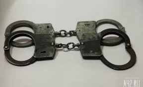 В Туле задержали членов банды, выдававших себя за силовиков