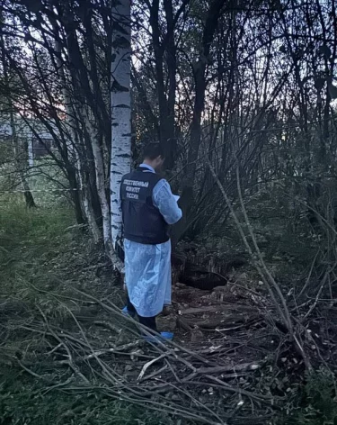 В Ярославской области чиновница получила условный срок за гибель ребёнка