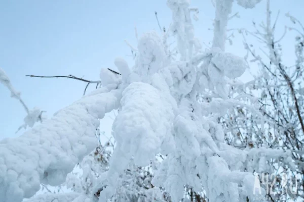 Директора рудника в Бурятии задержали после гибели работников