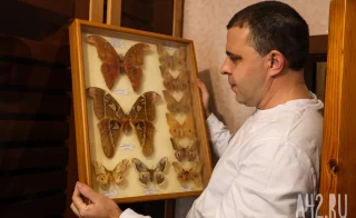 Полгода жил батраком в Таиланде, ловил бабочек в Перу, спасался от гигантских пиявок во Вьетнаме: как кемеровский энтомолог собрал 250 тысяч насекомых