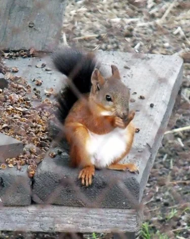 Фото: A42.RU