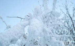Директора рудника в Бурятии задержали после гибели работников