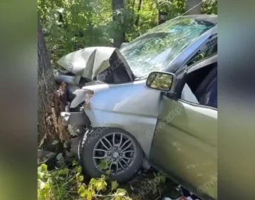 Фото: В Кузбассе иномарка на полной скорости врезалась в дерево 1