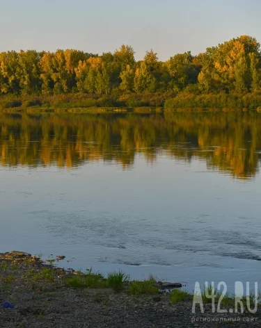 Фото: A42.RU