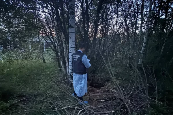 В Ярославской области чиновница получила условный срок за гибель ребёнка