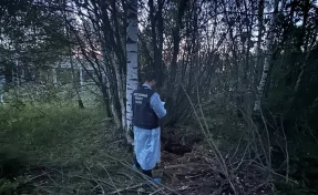 В Ярославской области чиновница получила условный срок за гибель ребёнка