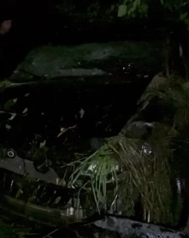 Фото, видео: <a href=https://t.me/gibdd42/17635>Госавтоинспекция Кузбасса</a> / Телеграм