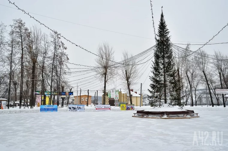 Фото: Царь горы: обзор ледовых городков Кемерова 4
