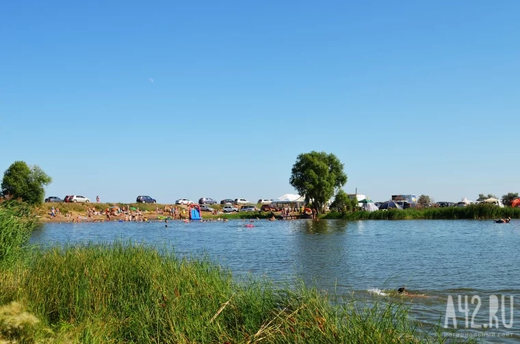 Фото: Тонем и травимся: почему в Кемерове мало мест отдыха у воды 3