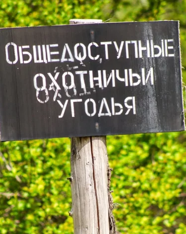 Фото: A42.RU