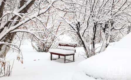 Павлов день или День колдунов: народные приметы на 28 января