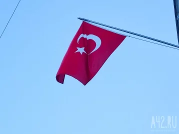 Фото: В Анталье пассажиров Turkish Airlines после посадки эвакуировали по трапам из-за задымления шасси 1