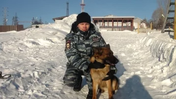 Фото: В Кузбассе служебная овчарка Жадина помогла раскрыть кражу 1