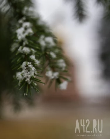 Собор Иоанна Крестителя или Иван Бражник: народные приметы на 20 января