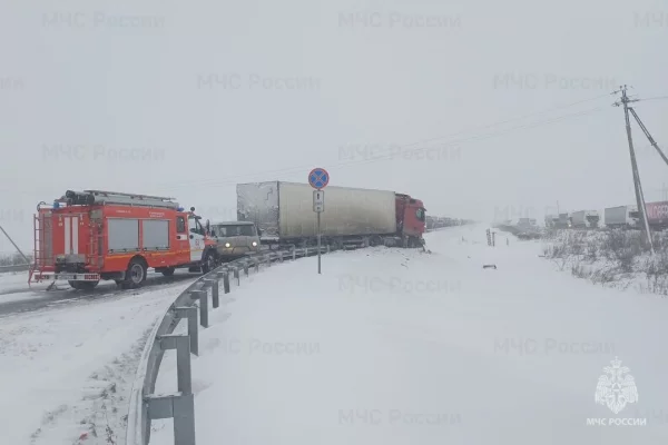 Шесть человек погибли в ДТП с рейсовым автобусом в Омской области