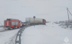 Шесть человек погибли в ДТП с рейсовым автобусом в Омской области