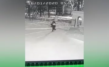 Фото: В Кузбассе мужчина подкинул новорождённого к дверям больницы: ЧП попало на видео 1