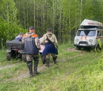 Фото: Жительница Кузбасса потерялась в лесу, собирая черемшу 1